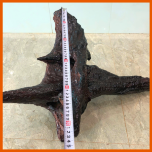 LŨA GỖ CẨM / MS: DC-26 4 5 14